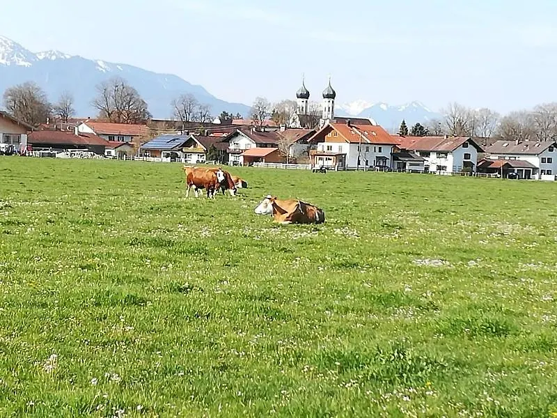 Apartment Moosblick Zwischen Bergen Und See Benediktbeuern